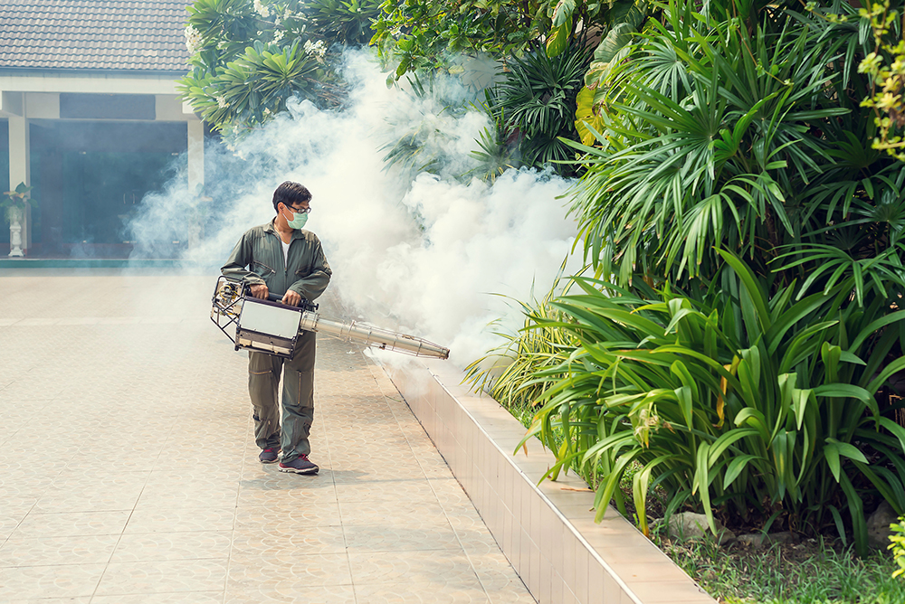 Fogging to eliminate mosquitos