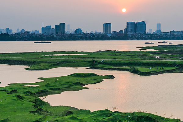 View of swamps in sunset