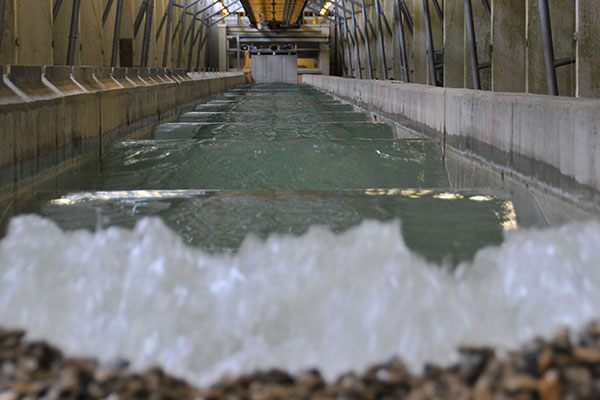 View of a wave generated in our wave flume