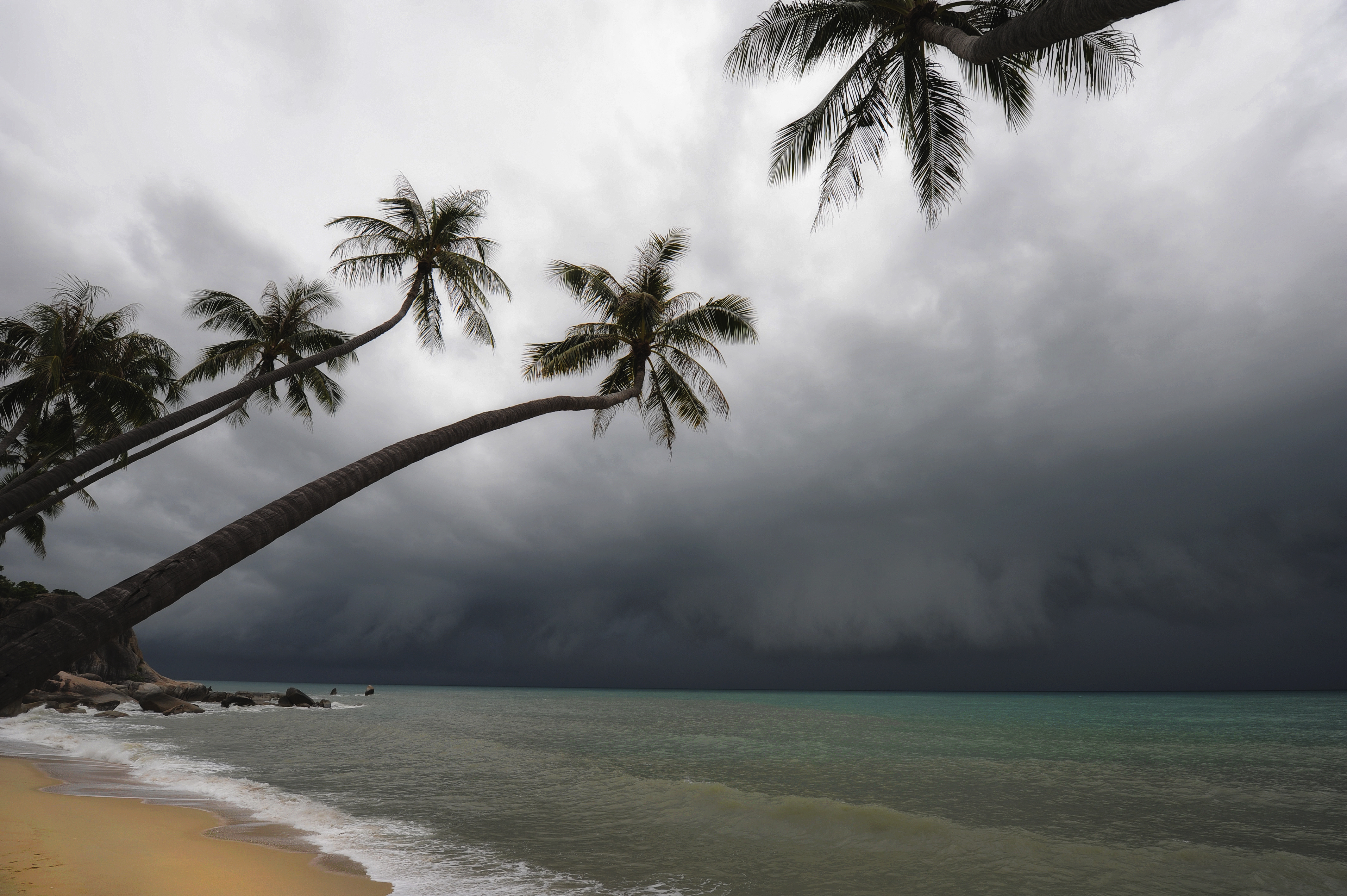 View of a tropical storm on a beach with palm trees