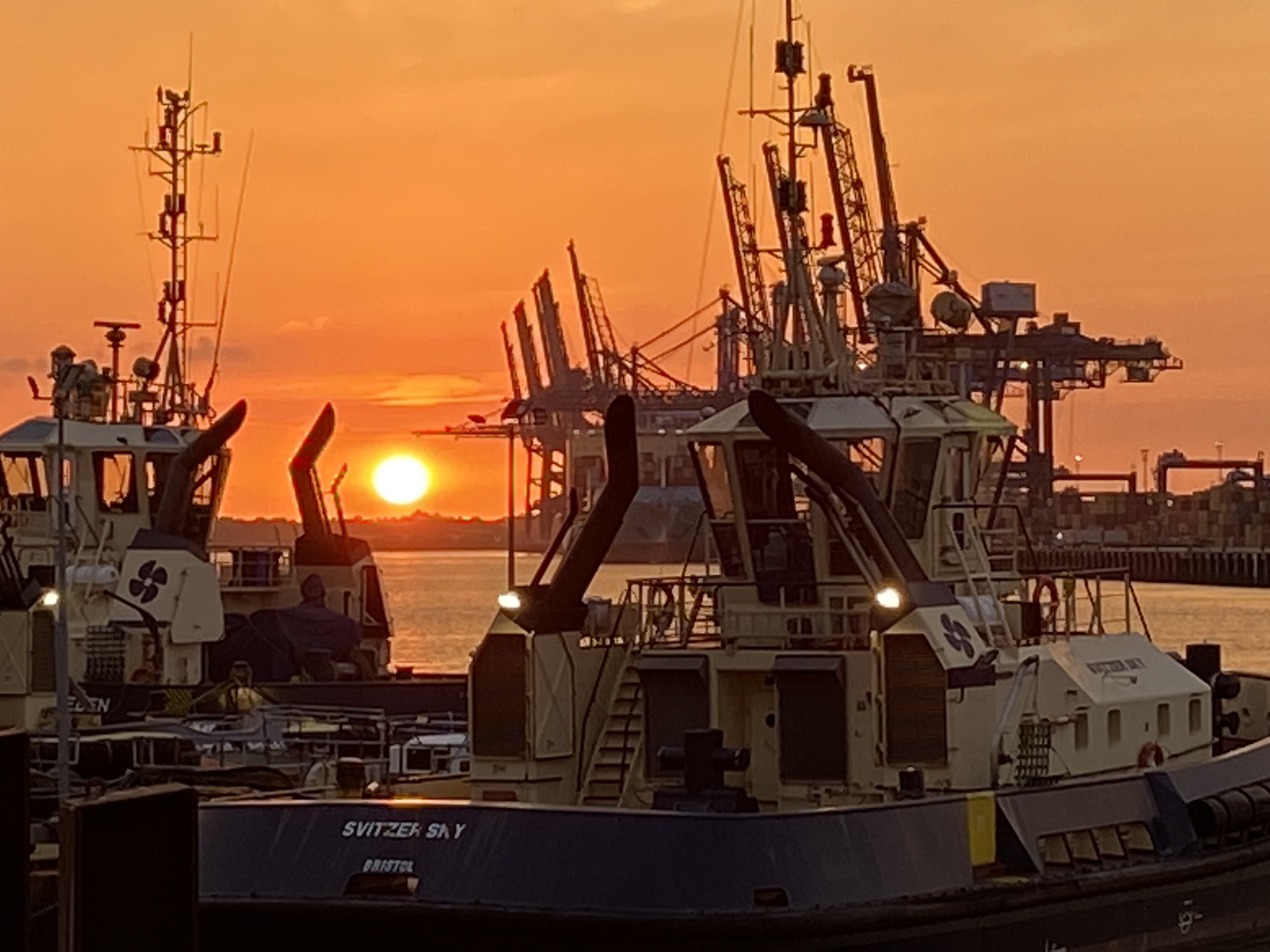 View of boats moored at port in sunset