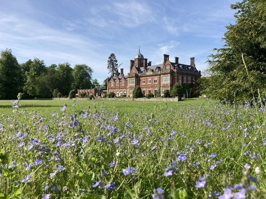 View of the Manor House at Howbery Park behind wild flowers