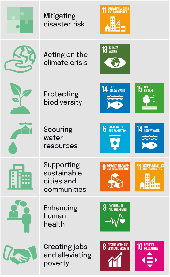 How nature-based solutions support the UN Sustainable Development goals