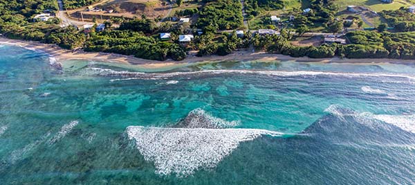 view of coral reef along coast