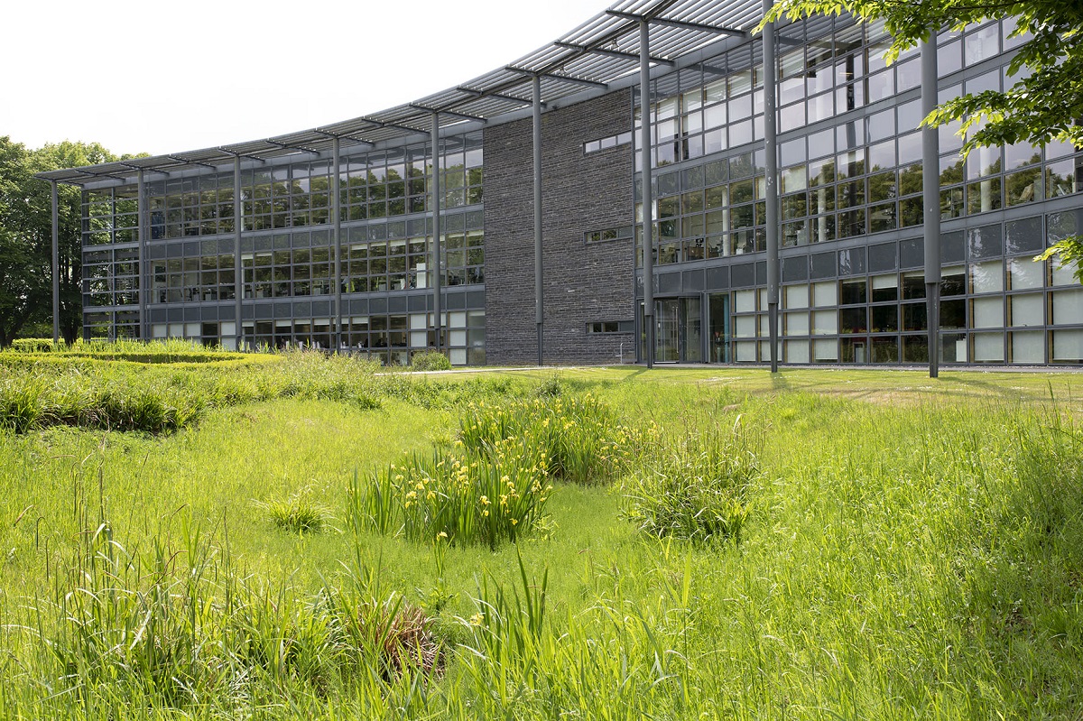 SuDS feature in front of building in Howbery Park