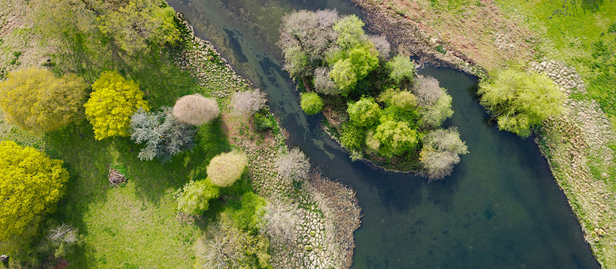 Aerial view of a meandering river