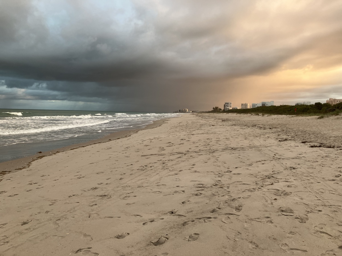 picture of white sandy Avalon beach