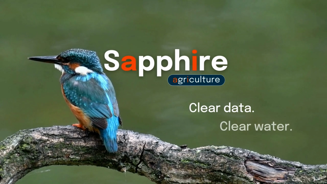 Still image of Sapphire video with blue bird and Sapphire title "Clear date, clear water"