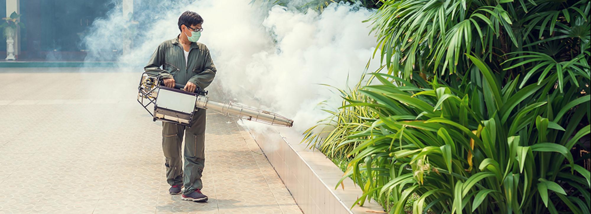 Fogging to eliminate mosquitos