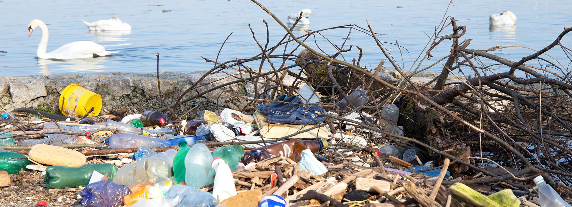 Plastic waste with swans in background