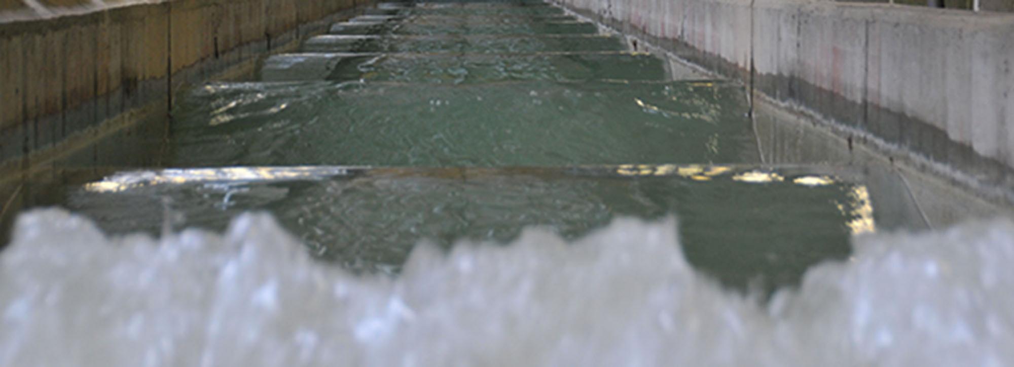 View of a wave formed in our physical wave flume model