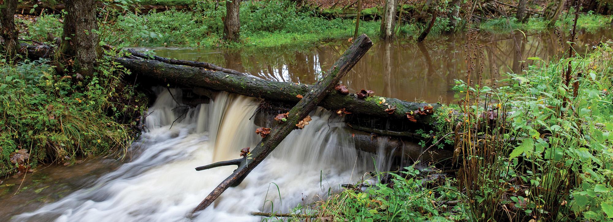 View of a small dam for natural flood management 