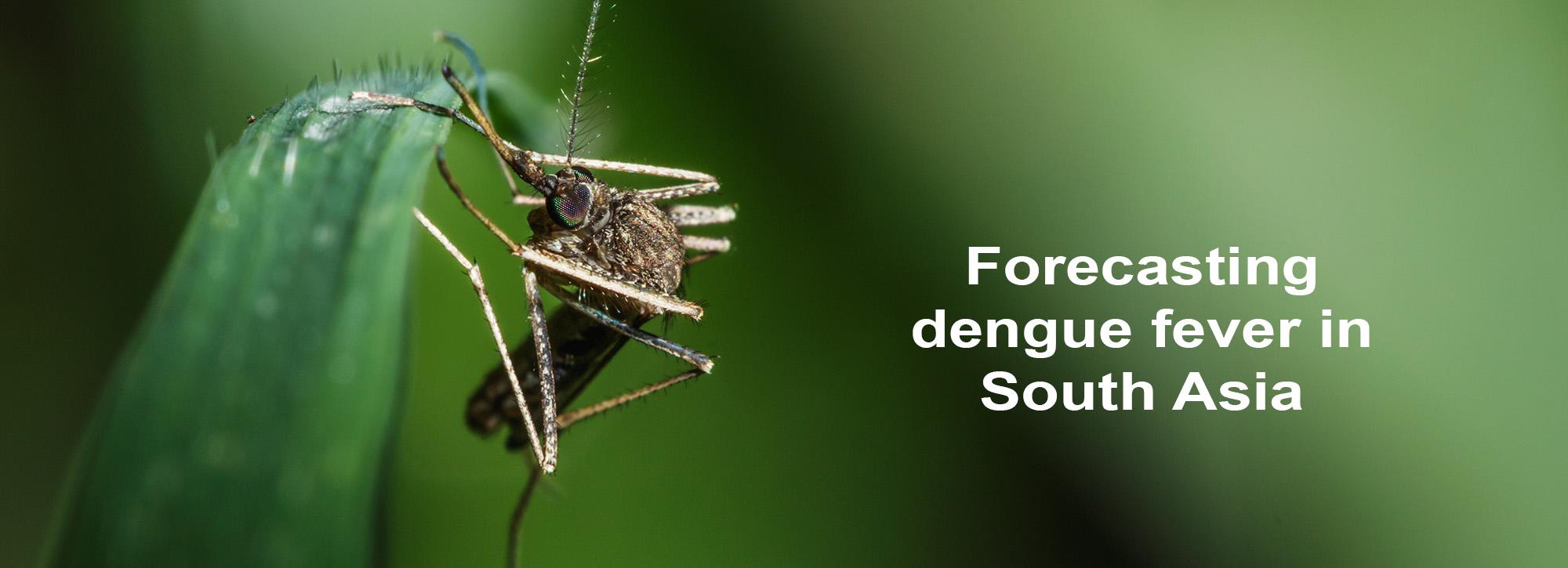 Forecasting dengue fever in South Asia