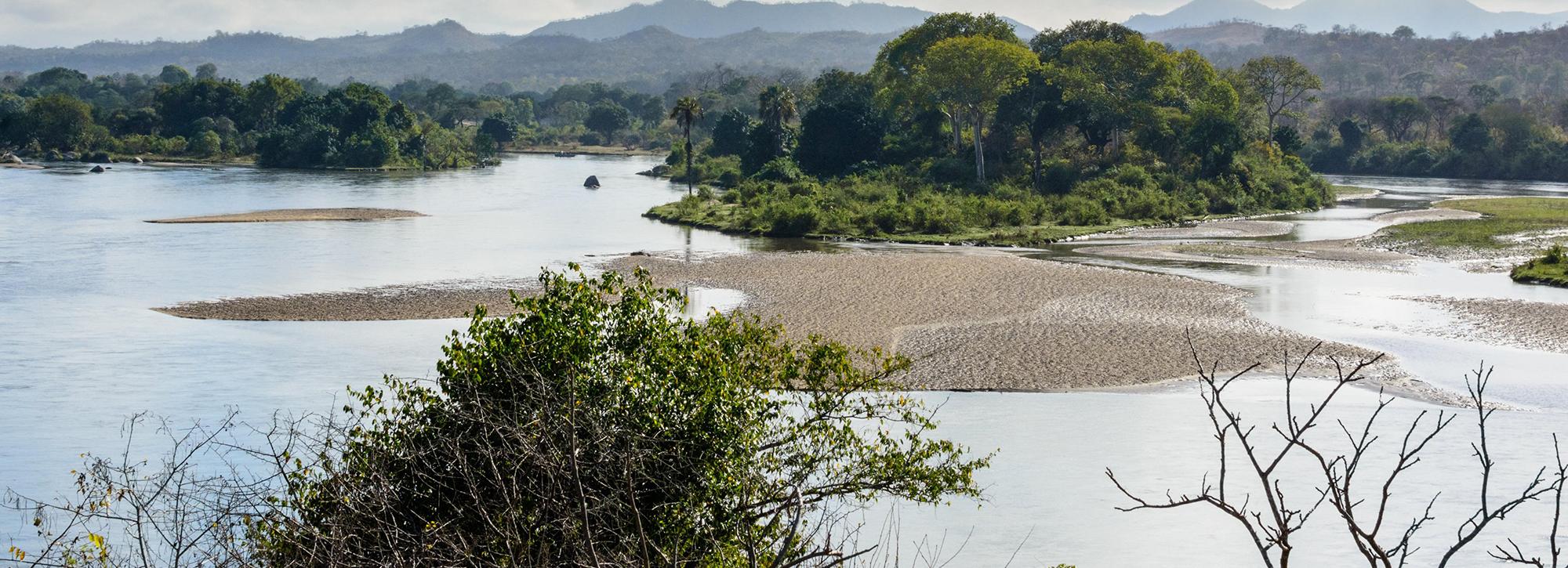 Photo of sandy sediments in river Shire in Malawi with green vegetation