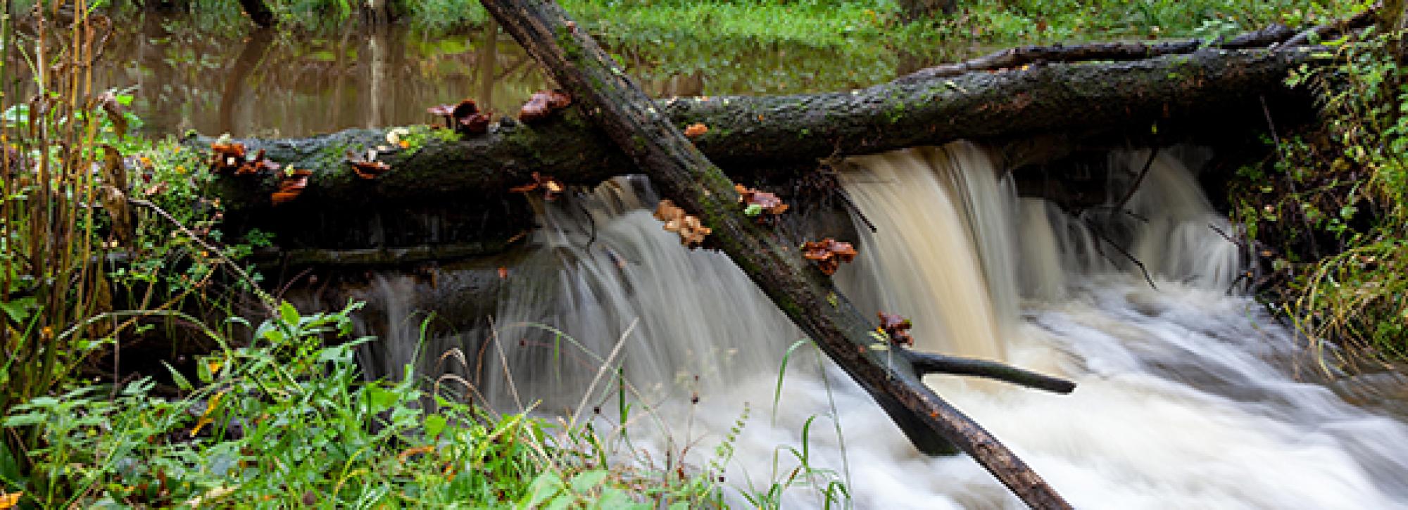 Close up view of leaky dam