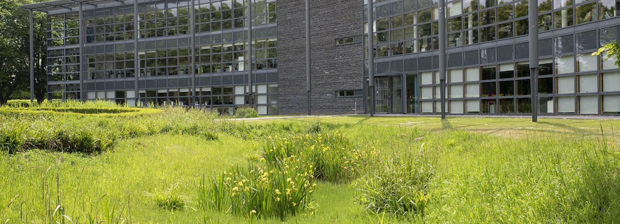 SuDS feature in front of building in Howbery Park