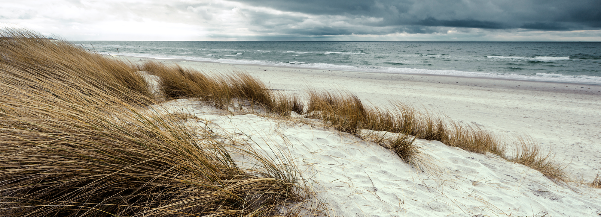 View of sand dune with grass