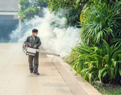 Fogging to eliminate mosquitos