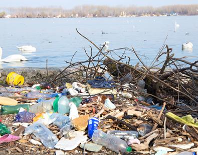 Plastic waste by a river