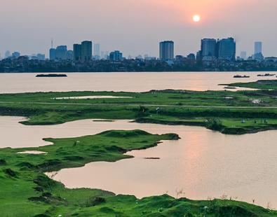View of swamps in sunset