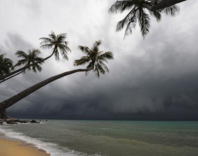 View of a tropical storm on a beach with palm trees