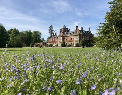View of the Manor House at Howbery Park behind wild flowers