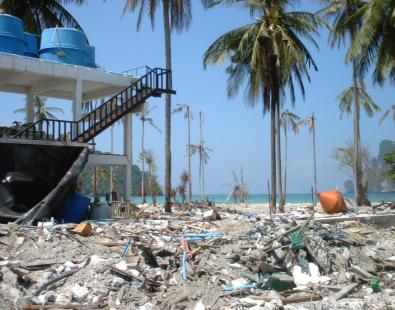 View of a beach after tsunami with debris