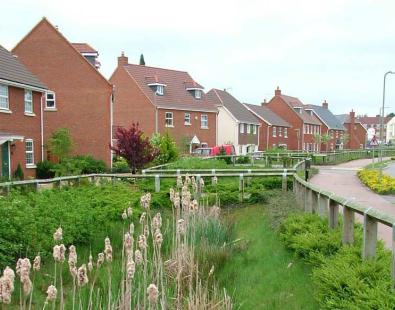 View of suds gardens in new housing developments