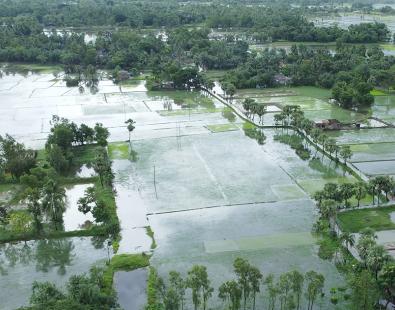 Flooded fields in west bengal