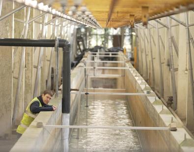 View of Fast Flow Facilities, where tsunamis are being recreated a scale