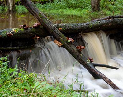 close view of leaky dam 