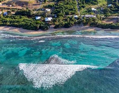 view of coral reef along coast