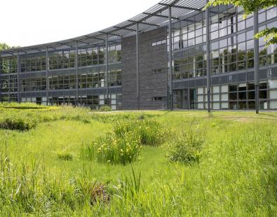 SuDS feature in front of building in Howbery Park