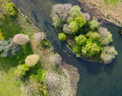 Aerial view of a meandering river