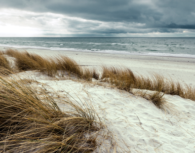View of sand dune with grass