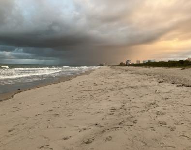 picture of white sandy Avalon beach