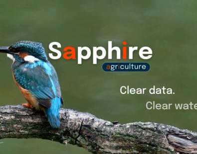 Still image of Sapphire video with blue bird and Sapphire title "Clear date, clear water"