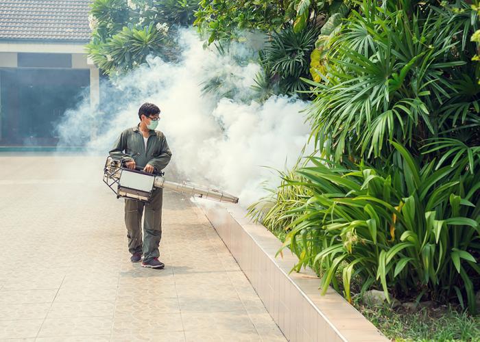 Fogging to eliminate mosquitos