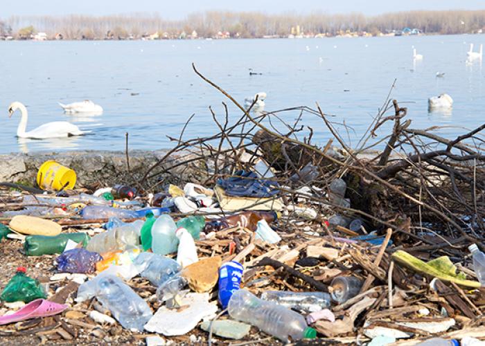 Plastic waste by a river