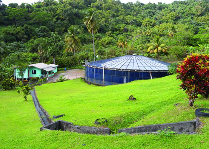 View of water tank in caribbean environment