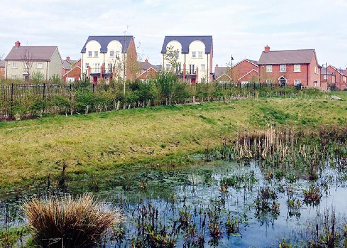 View of a suds pond in front of new housing development