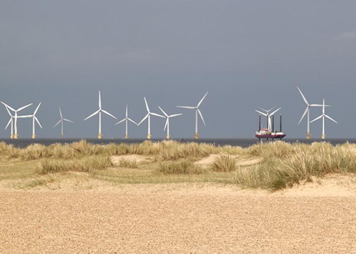 Panoramic view of a wind farm behind natural sand dunes