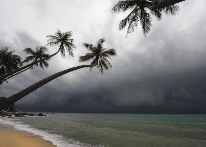 View of a tropical storm on a beach with palm trees