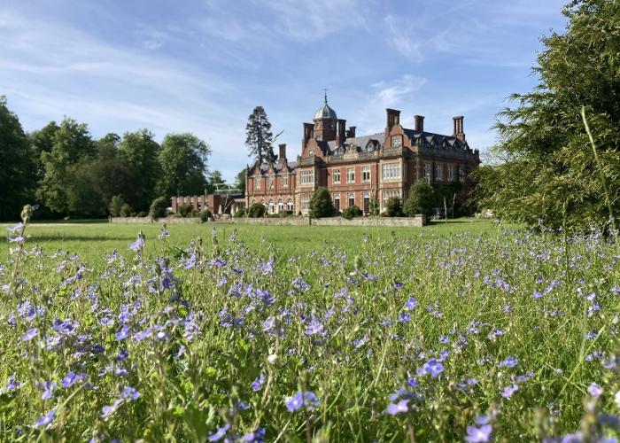 View of the Manor House at Howbery Park behind wild flowers