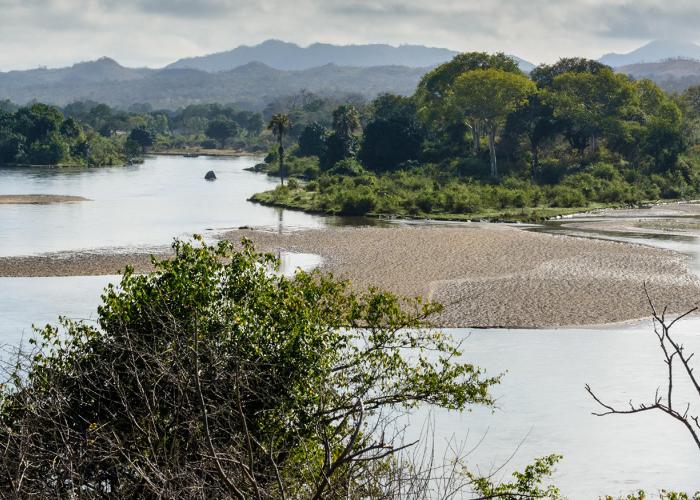 Photo of sandy sediments in river Shire in Malawi with green vegetation