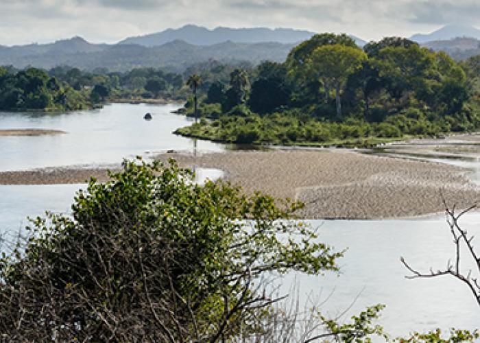 Photo of sediments and green vegetation in Shire review in Malawi