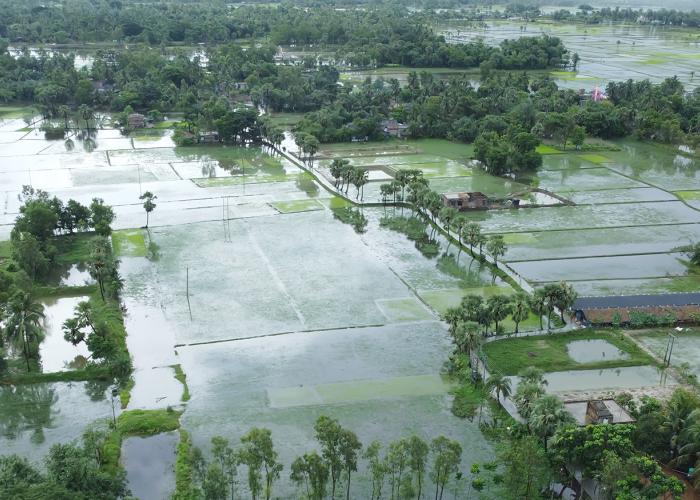 Flooded fields in west bengal