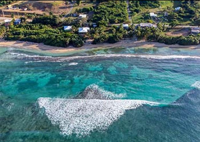 view of coral reef along coast