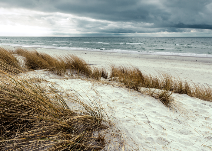 View of sand dune with grass