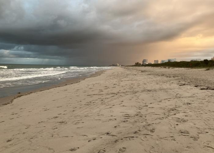 picture of white sandy Avalon beach
